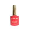 Charm Limit Esmalte Semipermanente Serie A 34 x10ml